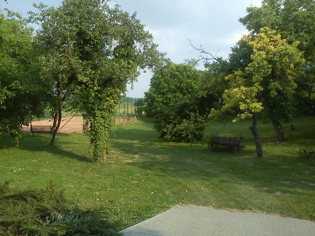 Borostyankert Etterem & Vendeghaz Hotel Sitke Exterior photo